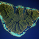 Illustration for article titled Coral Creeps Up Island Slopes to Stay at the Surface